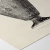 Islamic Objects 06